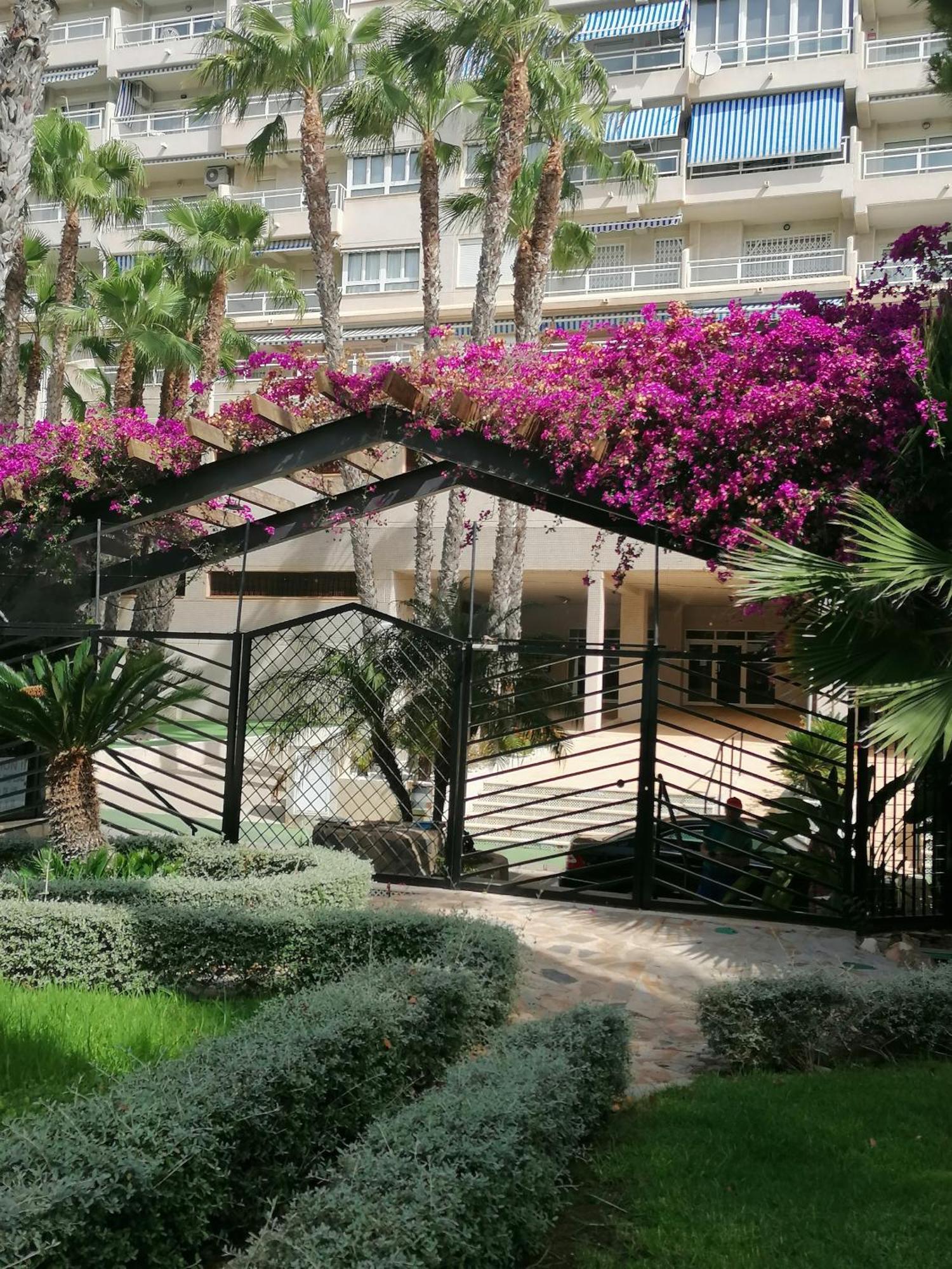 Campoamor Seaview エクステリア 写真